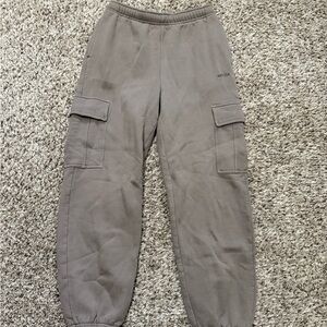 Aritzia Cargo Joggers